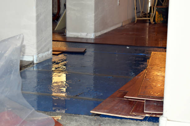 Professional Burst Pipe Cleanup technician working in Wendell, NC